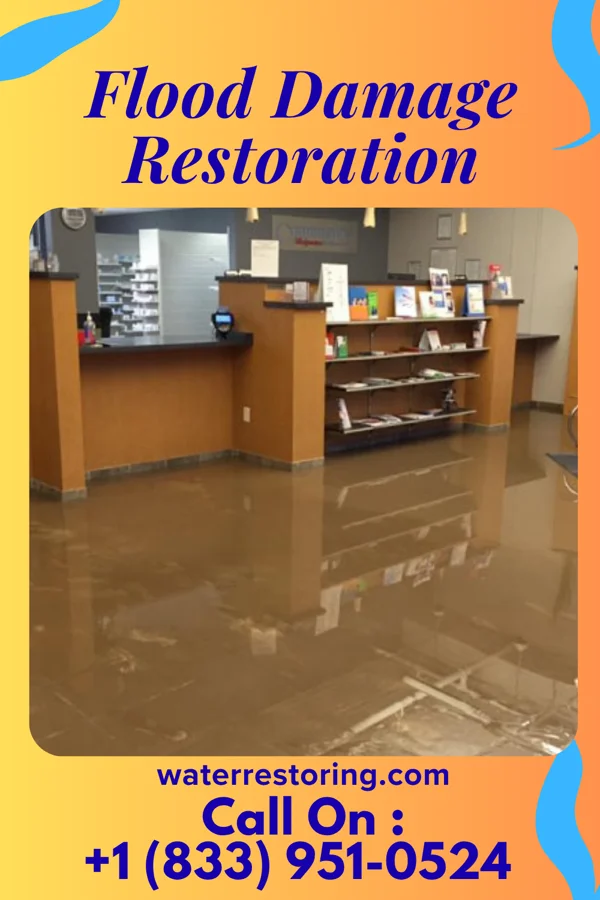 Flood Damage Restoration in Haileyville, OK