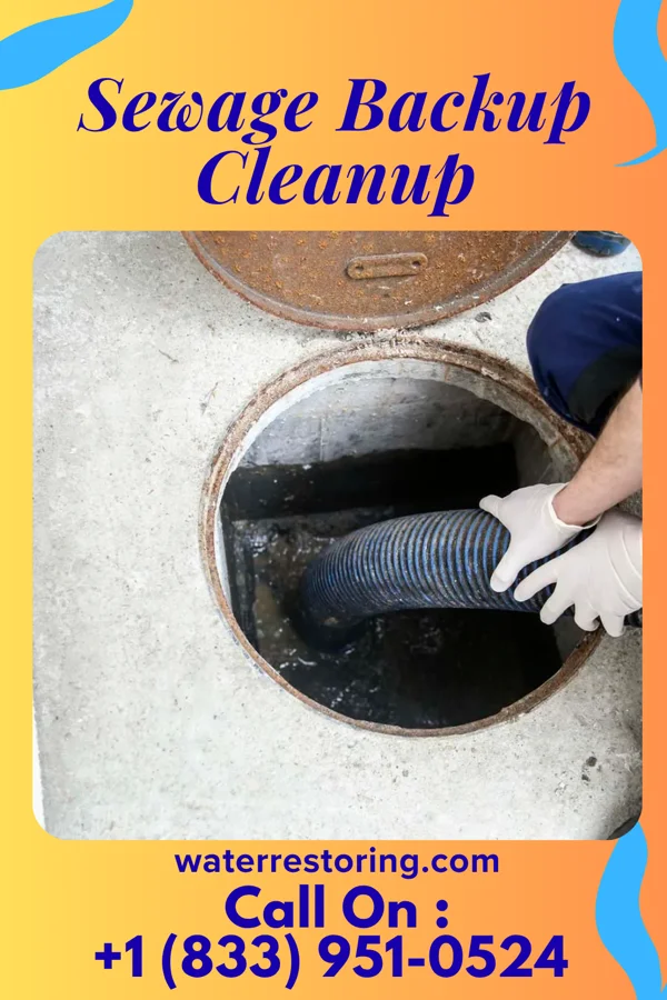 Sewage Backup Cleanup in Haileyville, OK
