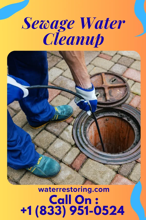 Sewage Water Cleanup in Haileyville, OK